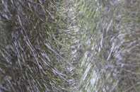 Nazeing fibreglass roof work